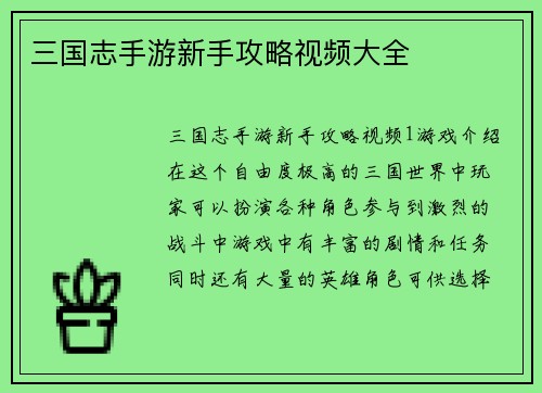三国志手游新手攻略视频大全